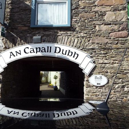 Dingle Centre Townhouse An Capall Dubh Dingle Esterno foto