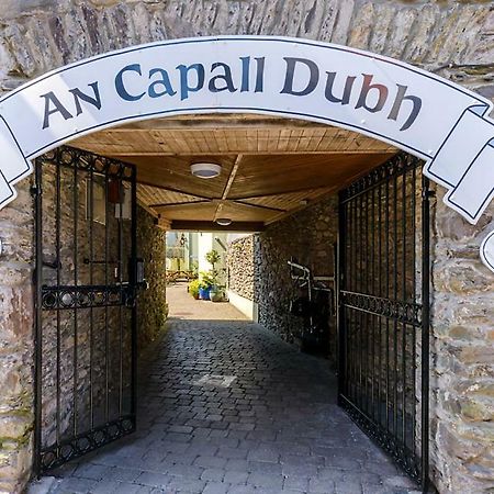 Dingle Centre Townhouse An Capall Dubh Dingle Esterno foto