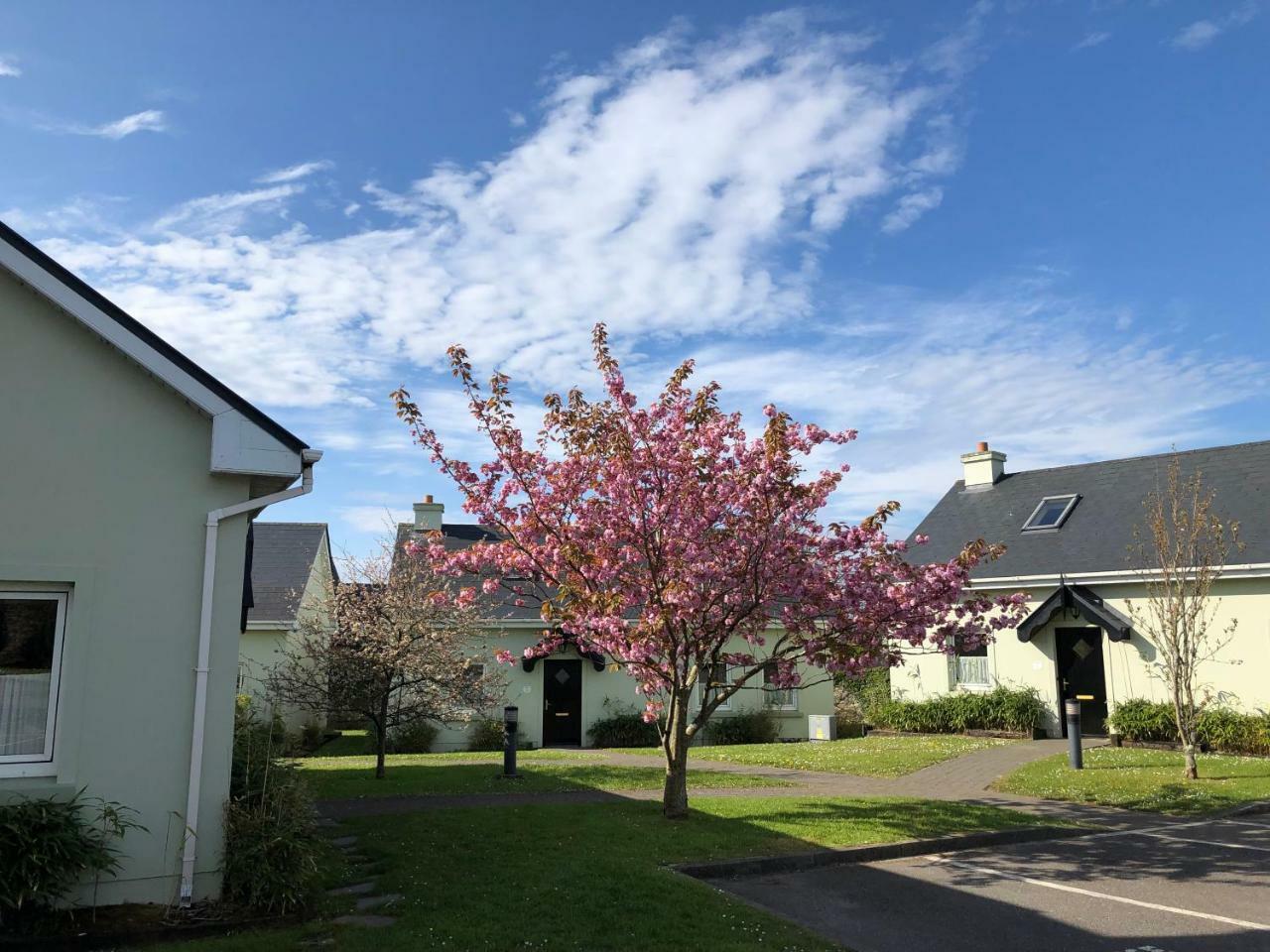 Dingle Centre Townhouse An Capall Dubh Dingle Esterno foto
