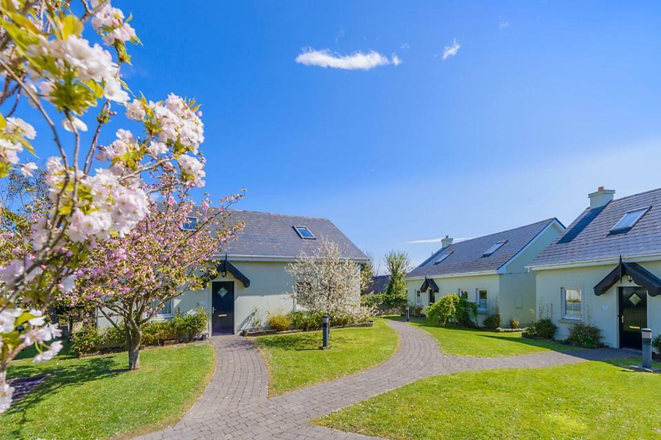 Dingle Centre Townhouse An Capall Dubh Dingle Esterno foto