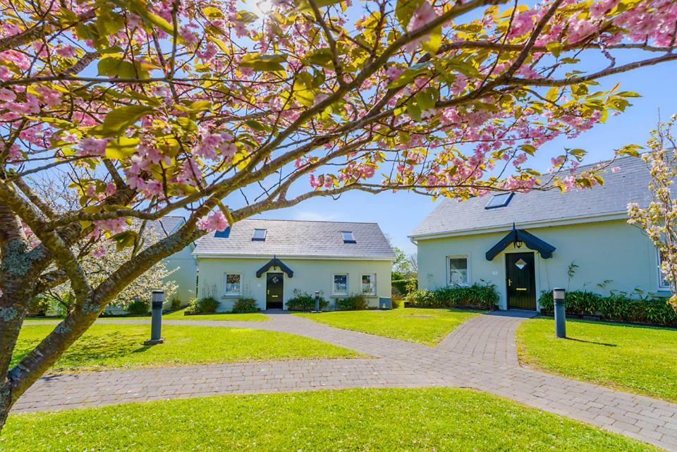 Dingle Centre Townhouse An Capall Dubh Dingle Esterno foto