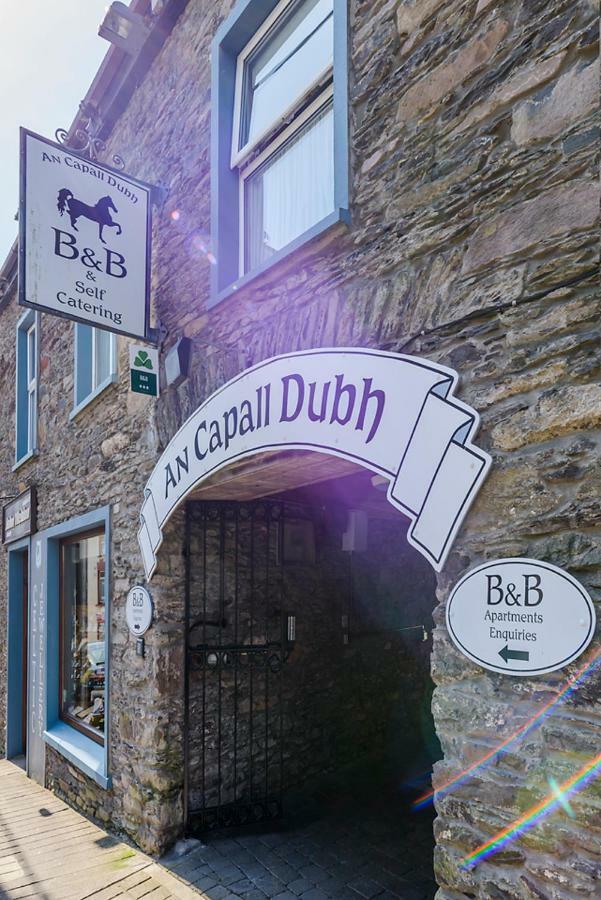 Dingle Centre Townhouse An Capall Dubh Dingle Esterno foto